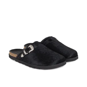 Duke   Dexter Winston Black Pony Mule